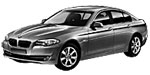 BMW F10 B260F Fault Code